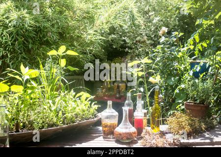 Bouteilles en verre d'huile et de vinaigre à la table dans le jardin Banque D'Images