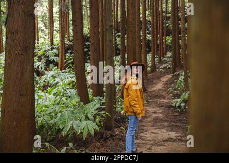 Femme REDHEAD portant un chapeau debout au milieu de grands arbres dans la forêt Banque D'Images