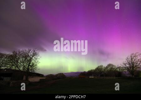 Teesdale, comté de Durham, Royaume-Uni. 23rd avril 2023. L'Aurora Borealis (aurores boréales) a présenté ce soir un spectacle spectaculaire dans le nord-est de l'Angleterre. Crédit : David Forster/Alamy Live News Banque D'Images