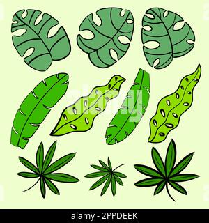 définir les feuilles tropicales. Monstera et feuilles de jungle de palmiers, feuillage vert exotique, collection de décorations botaniques de la nature. Illustration vectorielle isolée colle Illustration de Vecteur