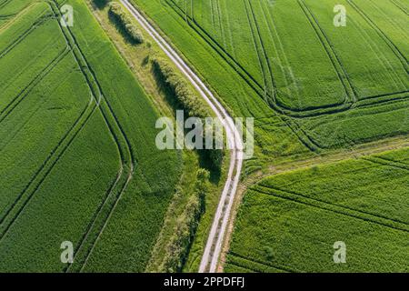 Allemagne, Bavière, vue aérienne de la route de terre s'étendant à travers les champs verts au printemps Banque D'Images