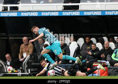 Newcastle, Royaume-Uni. 23rd avril 2023Tottenham Dejan Kulusevski de Hotspur affronte Dan Burn de Newcastle United lors du match de la Premier League entre Newcastle United et Tottenham Hotspur à St. James's Park, Newcastle, le dimanche 23rd avril 2023. (Photo : Mark Fletcher | ACTUALITÉS MI) Credit: MI News & Sport /Alamy Live News Banque D'Images