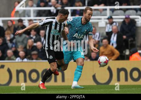 Newcastle, Royaume-Uni. 23rd avril 2023Tottenham Harry Kane d'Hotspur bataille avec Fabian Shar de Newcastle United lors du match de la Premier League entre Newcastle United et Tottenham Hotspur à St. James's Park, Newcastle, le dimanche 23rd avril 2023. (Photo : Mark Fletcher | ACTUALITÉS MI) Credit: MI News & Sport /Alamy Live News Banque D'Images