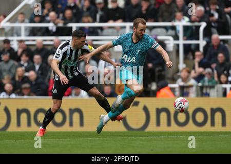 Newcastle, Royaume-Uni. 23rd avril 2023Tottenham Harry Kane d'Hotspur bataille avec Fabian Shar de Newcastle United lors du match de la Premier League entre Newcastle United et Tottenham Hotspur à St. James's Park, Newcastle, le dimanche 23rd avril 2023. (Photo : Mark Fletcher | ACTUALITÉS MI) Credit: MI News & Sport /Alamy Live News Banque D'Images