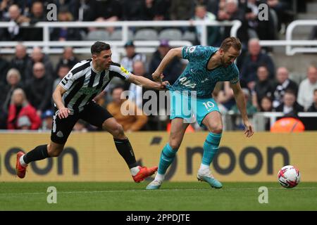 Newcastle, Royaume-Uni. 23rd avril 2023Tottenham Harry Kane d'Hotspur bataille avec Fabian Shar de Newcastle United lors du match de la Premier League entre Newcastle United et Tottenham Hotspur à St. James's Park, Newcastle, le dimanche 23rd avril 2023. (Photo : Mark Fletcher | ACTUALITÉS MI) Credit: MI News & Sport /Alamy Live News Banque D'Images