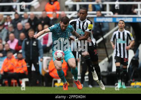 Newcastle, Royaume-Uni. 23rd avril 2023Tottenham Pierre-Emile Hojbjerg de Hotspur bataille pour possession avec Joe Willock de Newcastle United lors du match de la Premier League entre Newcastle United et Tottenham Hotspur à St. James's Park, Newcastle, le dimanche 23rd avril 2023. (Photo : Mark Fletcher | ACTUALITÉS MI) Credit: MI News & Sport /Alamy Live News Banque D'Images