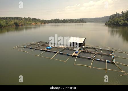 Ferme de poissons d'eau douce à Kampar, Riau, Indonésie. Banque D'Images