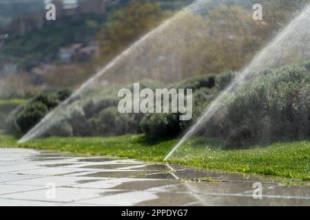 arrosez la pelouse verte du parc de la ville pendant une journée d'été, les gens qui marchent et les enfants qui jouent, la lumière du soleil et les ombres Banque D'Images