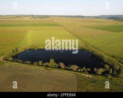 Vue aérienne sur un lac entouré d'un champ de blé vert à la campagne. Champ de blé soufflant dans le vent comme la mer verte. Épis d'orge dans la nature Banque D'Images