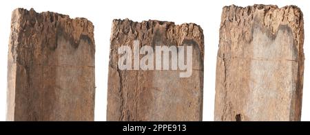 ensemble de vieux planches de bois pourri, naturellement détérioré en raison de l'exposition à l'humidité ou de termites altérées et termites bois panneaux de signalisation, coupé Banque D'Images