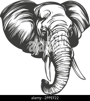 éléphant gros animal dessin à la main illustration vectorielle esquisse réaliste. Illustration de Vecteur