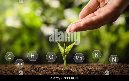 Illustration des éléments chimiques et de la femme qui verse de l'eau sur les jeunes plantules dans le sol sur fond flou, gros plan Banque D'Images