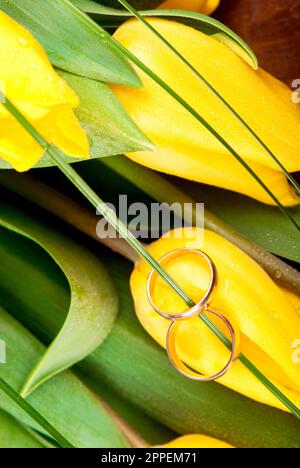 les tulipes et les anneaux de mariage jaune vif Banque D'Images