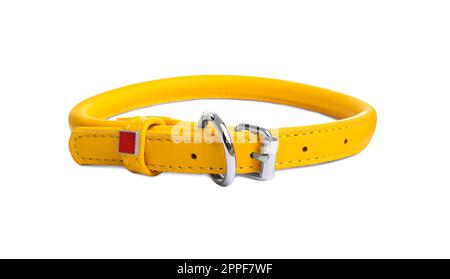 Collier pour chien en cuir jaune isolé sur blanc Banque D'Images