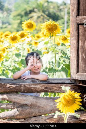 Portrait d'une adorable petite fille asiatique dans le domaine des tournesols (Helianthus annuus) Banque D'Images