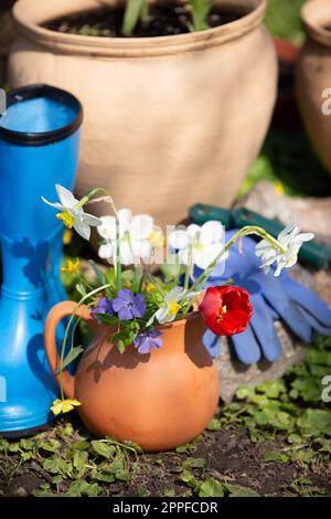 Outils de jardin et fleurs dans le jardin de printemps Banque D'Images