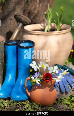 Outils de jardin et fleurs dans le jardin de printemps Banque D'Images