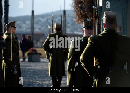 Budapest, Hongrie - 06 janvier 2019 : Garde d'honneur devant le château royal Banque D'Images