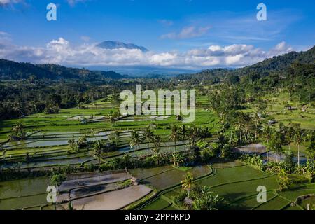 Vue aérienne par drone de la vallée de Sidemen à Bali Indonésie Banque D'Images