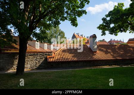 Jardin de l'évêque à Tallinn, Estonie Banque D'Images