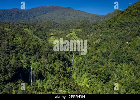 Vue sur la cascade de Sekumpul dans le nord de Bali en Indonésie Banque D'Images