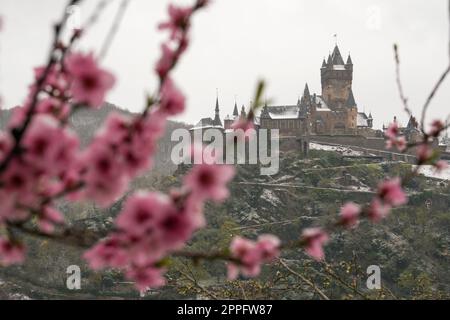 Cochem, Moselle, Allemagne Banque D'Images