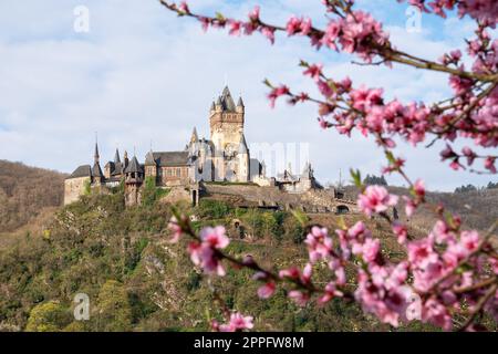 Cochem, Moselle, Allemagne Banque D'Images