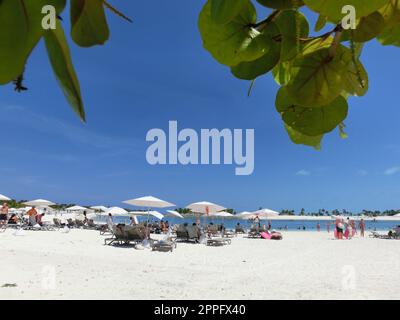 Les gens se reposent à la plage sur l'île Ocean Cay Banque D'Images