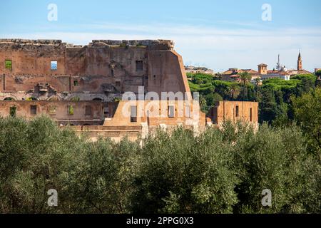 Colline du Palatin, vue sur les ruines de plusieurs bâtiments anciens importants, Rome, Italie Banque D'Images