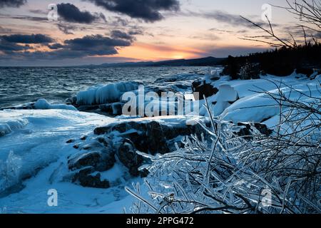 Bush gelé devant le coucher du soleil sur le Lakeshore en hiver Banque D'Images