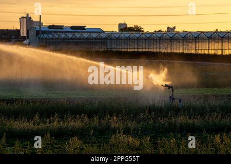 Un système d'irrigation agricole est nécessaire en raison de l'été chaud et de la sécheresse causée par le changement climatique menace l'agriculture et l'industrie agricole avec un temps sec et aucune pluviométrie ne gonfle la récolte des prix des cultures Banque D'Images