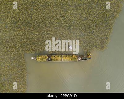 Valeur par défaut Banque D'Images