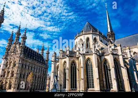 St. L'église de Pierre et la ville Twon Hall à Leuven, Belgique Banque D'Images