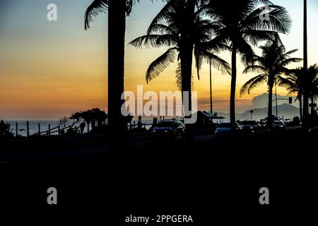 Plage de Rio de Janeiro au coucher du soleil. silhouettes de palmiers Banque D'Images