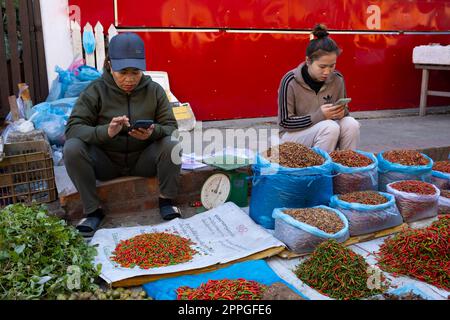 Laos: Les vendeurs de piment sur leurs téléphones mobiles dans le marché du matin, Luang Prabang. Le piment, ou simplement le piment dans de nombreux pays, est la partie fruitière du genre de plantes connu sous le nom de Capsicum, qui à son tour provient de la plus grande famille de nutShade connue sous le nom de Solanaceae. Le nom est dérivé du mot Chili Nahuatl du Mexique central. Bien qu’ils soient aujourd’hui cultivés dans le monde entier, les piments provenaient à l’origine des Amériques, avant d’être expédiés et échangés dans le monde entier après la Columbian Exchange qui a eu lieu après la découverte des Amériques par Christophe Colomb en 1492. Banque D'Images