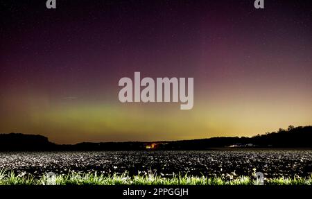 Bloomington, États-Unis. 23rd avril 2023. L'Aurora Borealis (Northern Lights) est visible depuis North Bottom Road à Bloomington, Indiana. (Photo de Jeremy Hogan/SOPA Images/Sipa USA) crédit: SIPA USA/Alay Live News Banque D'Images
