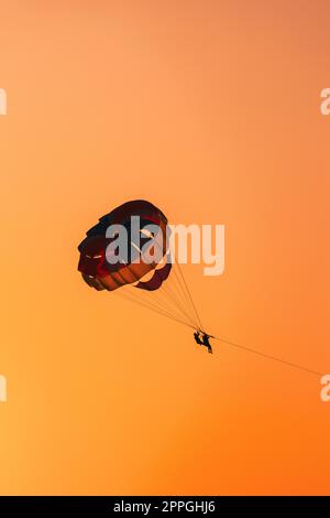 Parachutistes volant sur un parachute coloré dans Sunset Sunrise Sky. Hobby actif Banque D'Images