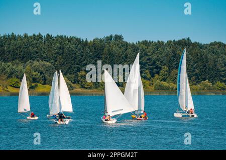 Beaucoup de bateaux blancs naviguant sur le lac Banque D'Images