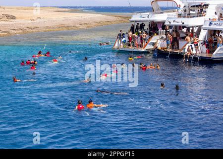 Groupe de personnes en gilets de sauvetage snorkeling dans la mer Rouge au-dessus d'un récif de corail, Dahab, Egypte Banque D'Images