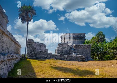Le château, ruines mayas à Tulum, Riviera Maya, Yucatan, mer des Caraïbes, Mexique Banque D'Images