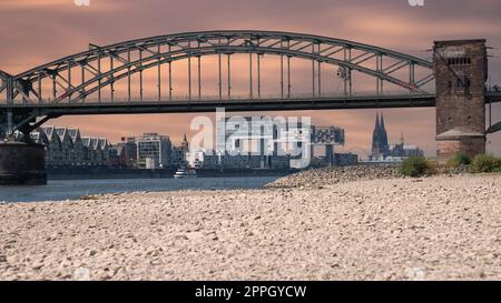 Sécheresse en Allemagne, faible niveau d'eau sur le Rhin Banque D'Images