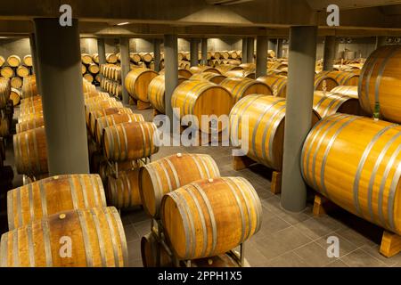 Cave à vin pleine de fûts en bois à Barolo, Piémont, Italie Banque D'Images