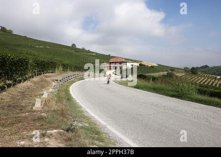 Vignobles de Langhe près de Barolo et de la Morra, Italie Banque D'Images