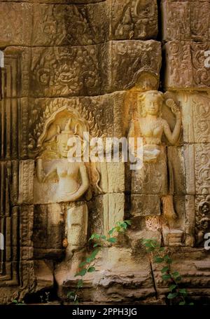 Apsaras dans bas-relief sur un mur aux ruines du temple de Ta Prohm, situé dans le complexe Angkor wat près de Siem Reap, au Cambodge. Banque D'Images