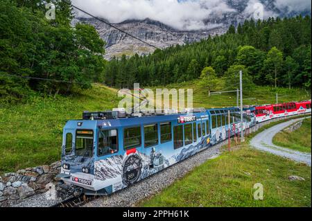 Jusqu'à la gare de Jungfraujoch Banque D'Images