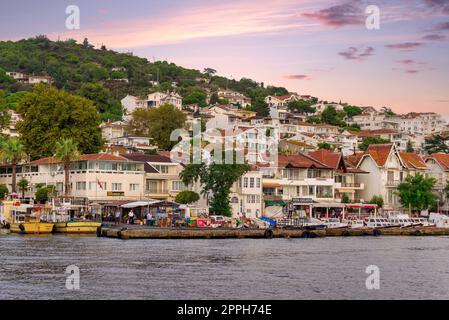 Vue sur les collines de l'île de Kinaliada depuis la mer de Marmara, avec maisons d'été traditionnelles et bateaux, Istanbul, Turquie Banque D'Images