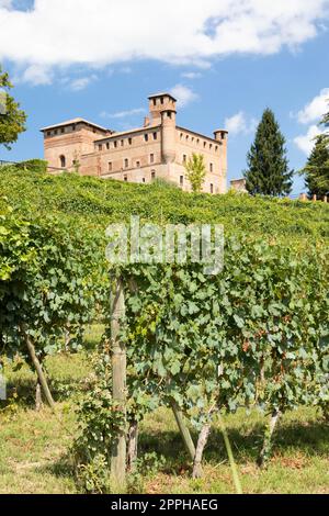 Vignoble dans la région du Piémont, en Italie, avec le château de Grinzane Cavour en arrière-plan Banque D'Images