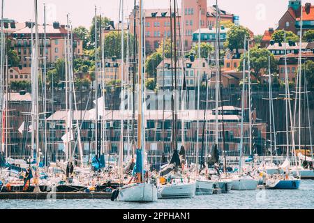 Stockholm, Suède. Avec de nombreux yachts amarrés jetée en été, Régate de voile en journée ensoleillée. Banque D'Images