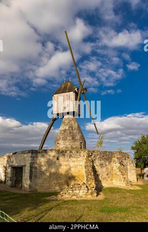 Moulin de la Tranchee et vignoble près de Montsoreau, pays de la Loire, France Banque D'Images