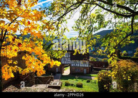 Château de Hirschhorn un château en ruines sur le Neckar Banque D'Images